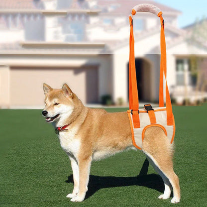 Adjustable dog lift harness in orange for senior and weak dogs with hind leg support