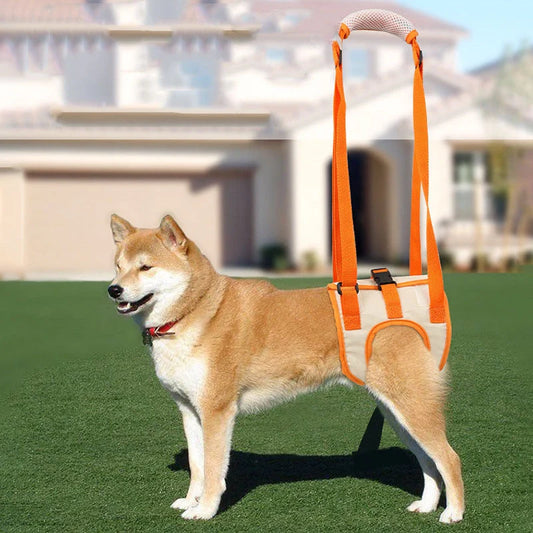 Adjustable dog lift harness in orange for senior and weak dogs with hind leg support