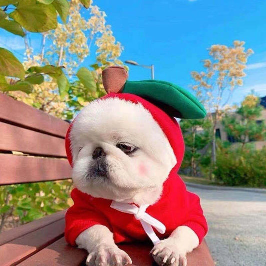Adorable fruit-themed dog hoodies in a variety of sizes for small breeds, providing cozy and stylish winter warmth