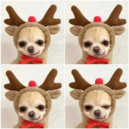 Adorable fruit-themed dog hoodies in a variety of sizes for small breeds, providing cozy and stylish winter warmth
