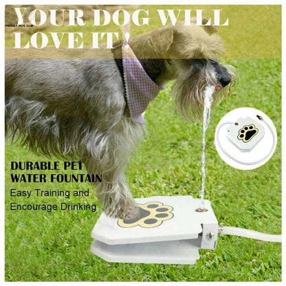 Household Pet Intelligent Automatic Water Dispenser with garden hose connection