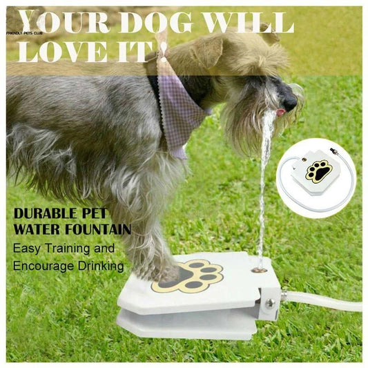 Household Pet Intelligent Automatic Water Dispenser with garden hose connection