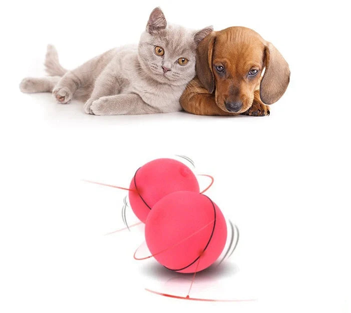 Interactive LED laser cat toy ball with catnip, perfect for keeping your feline friend entertained