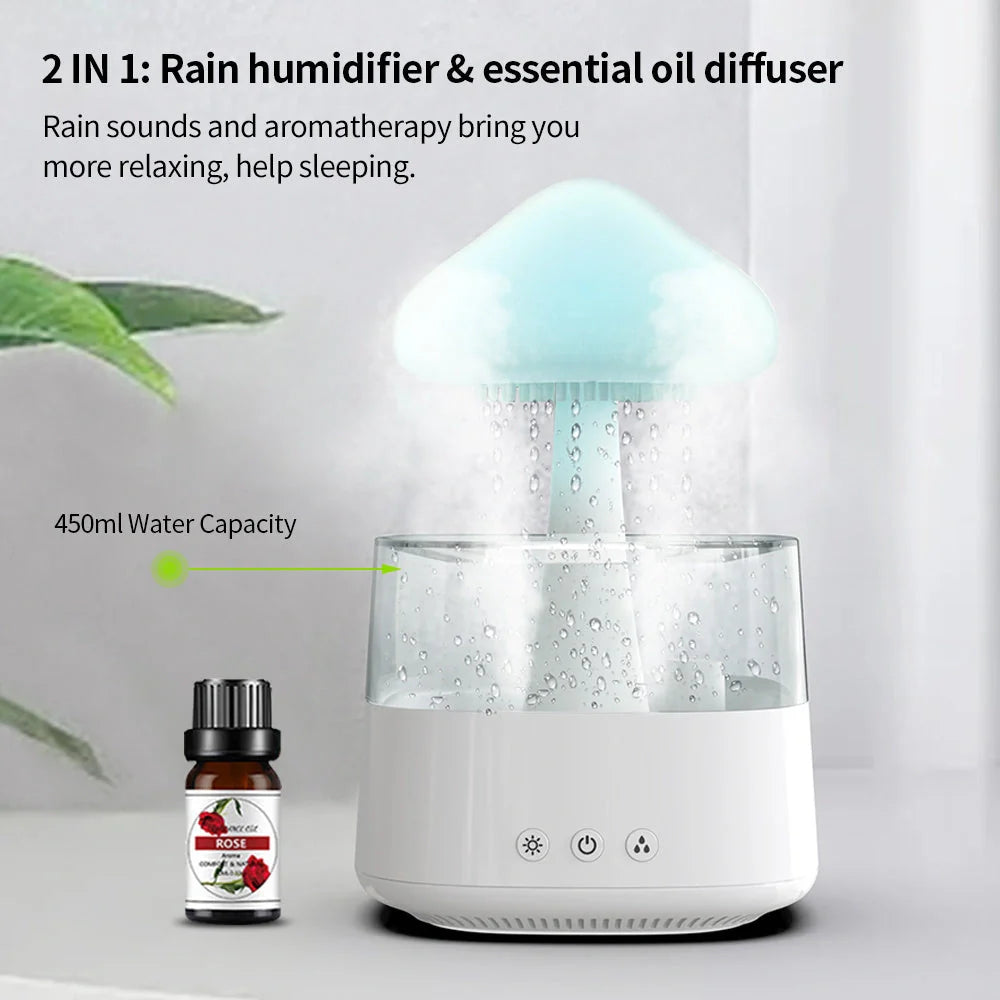 2-in-1 Desk Humidifier with raining cloud design and aromatherapy function