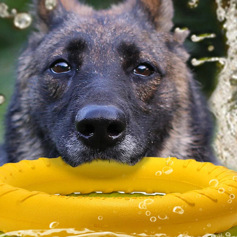 EVA Dog Training Toy Pull Ring in vibrant colors for interactive play