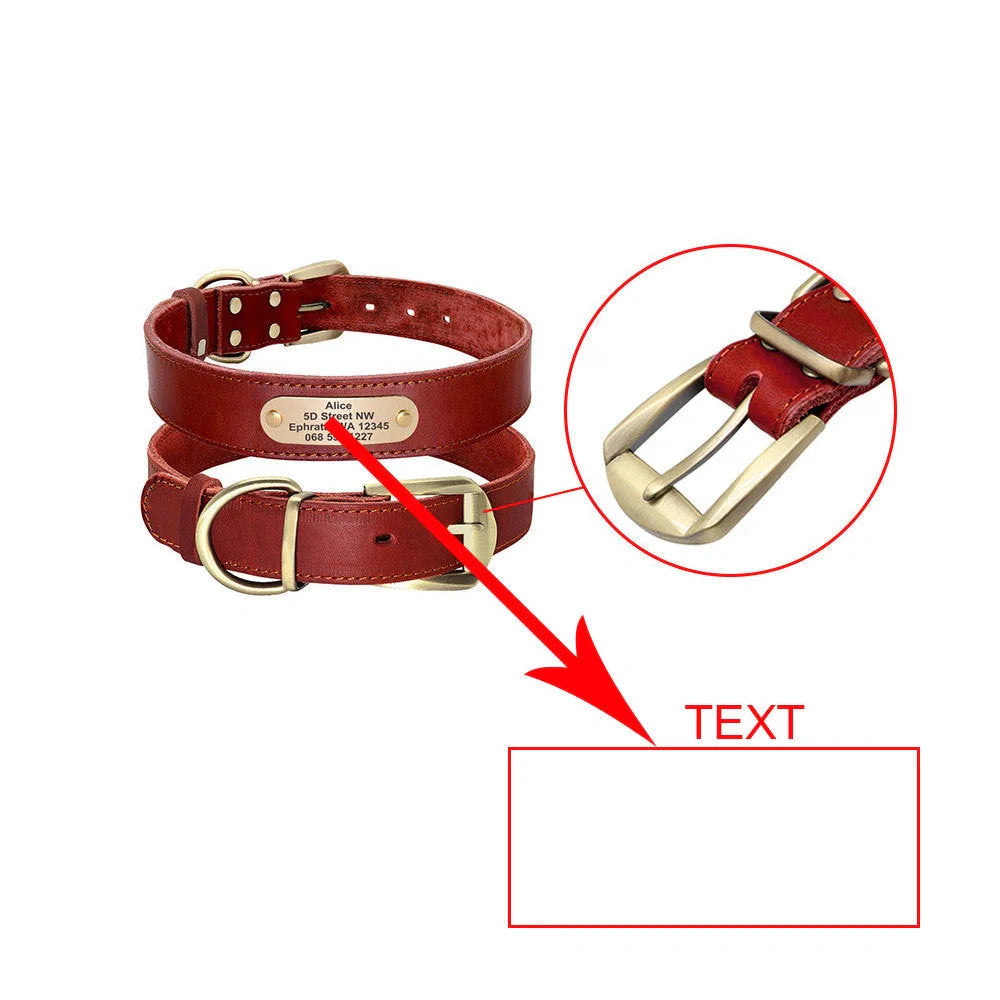 Personalized leather dog collar with golden nameplate ID tag for medium to large dogs