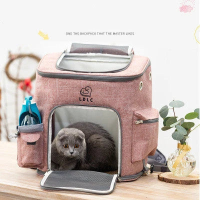 Transparent pet carrier backpack with mesh windows and zippered top for easy access, perfect for transporting cats in comfort and style.