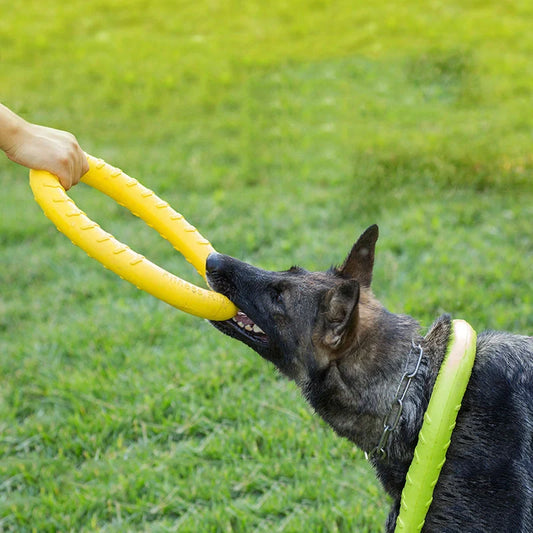 EVA Dog Training Toy Pull Ring in vibrant colors for interactive play