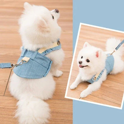 A stylish and comfortable dog harness and leash set in a variety of vibrant colours and patterns