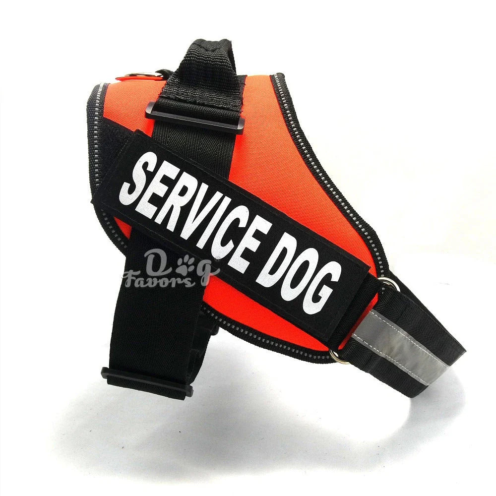 Premium nylon dog chest harness with adjustable fit for comfort and support during outdoor activities