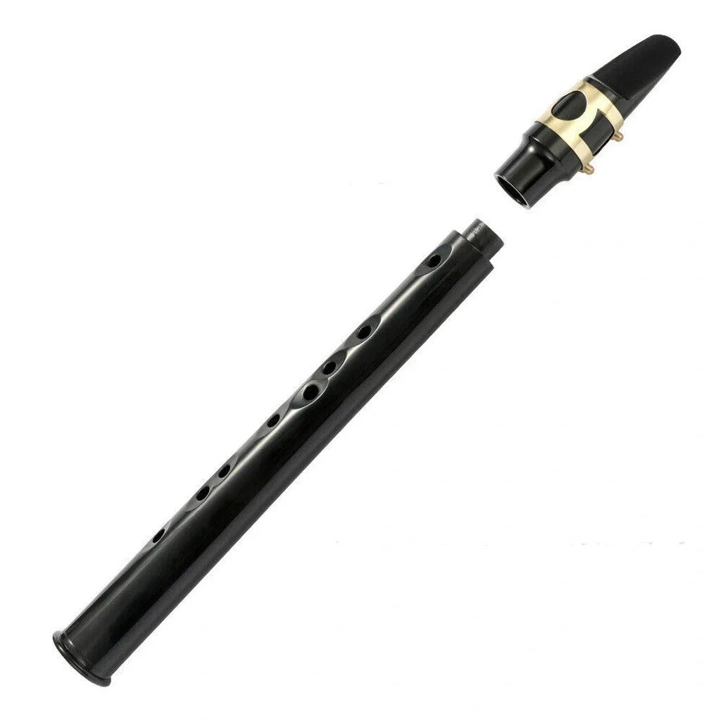 Portable Mini Saxophone in black with alto mouthpiece and carry bag