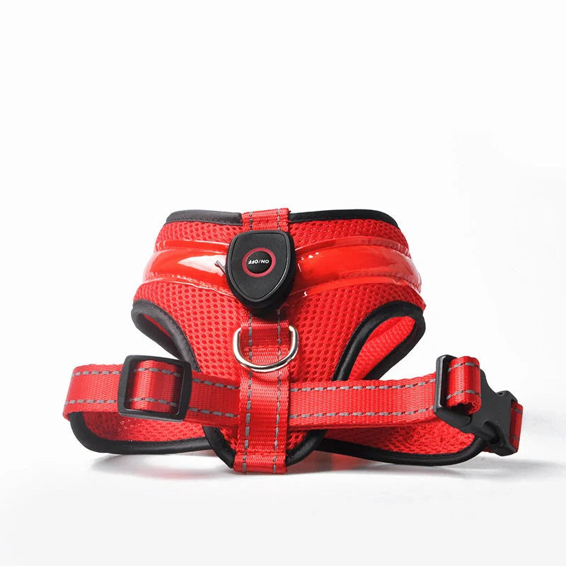 USB charging LED dog harness in blue, red, or green with reflective safety features