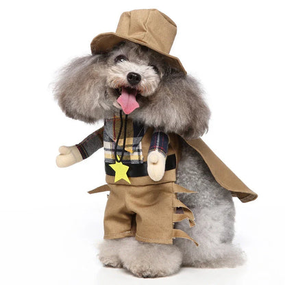 A charming pet costume with a three-piece ensemble of a whimsical hat, cosy clothing, and a dashing cloak, designed to make your furry friend the life of the party.