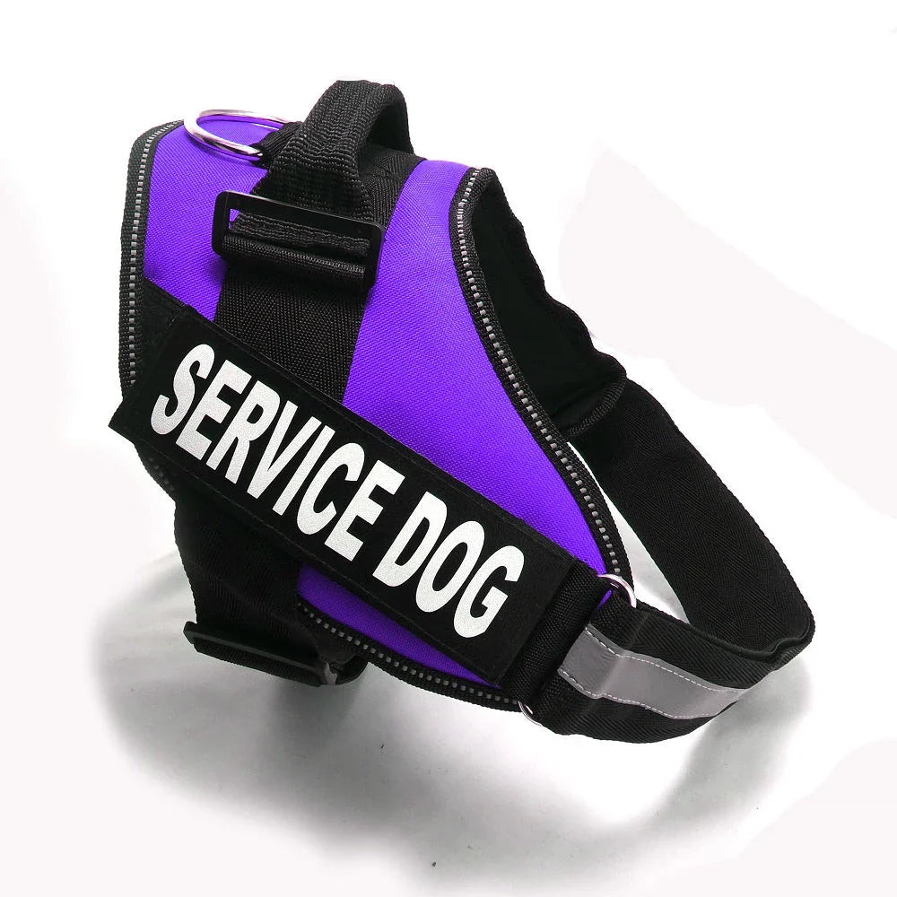 Premium nylon dog chest harness with adjustable fit for comfort and support during outdoor activities