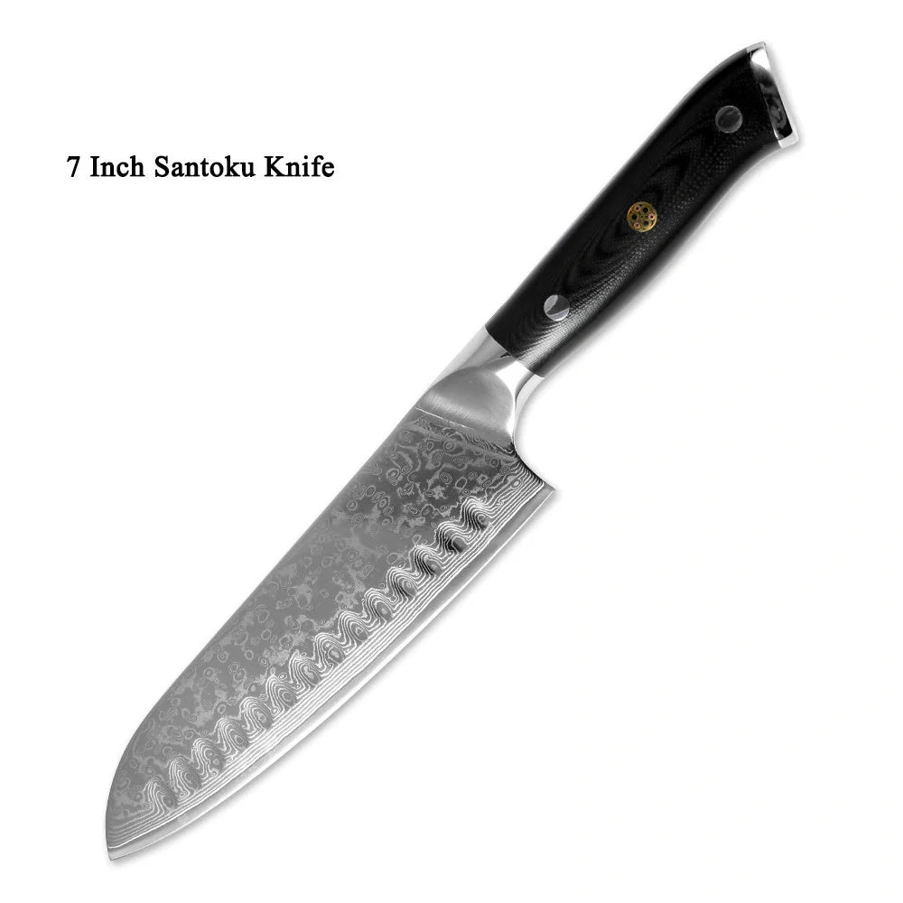 Premium Japanese Damascus steel kitchen and fruit knife set with G10 handle
