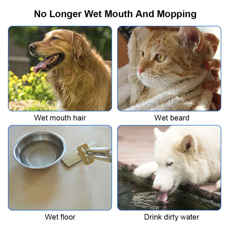 Spill-Proof Floating Pet Water Bowl with Slow Water Intake, Premium ABS & PP Construction, Available in Various Colors and Quantities