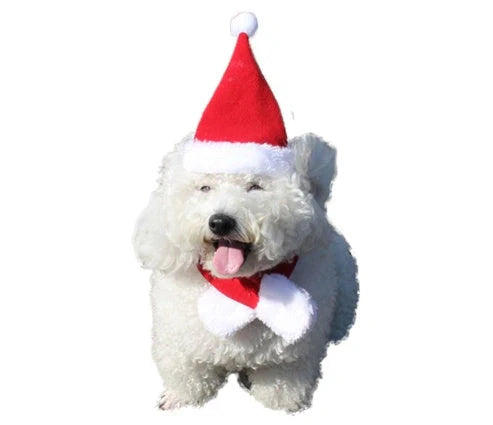 Adjustable Christmas pet hairband with elk antlers for dogs and cats