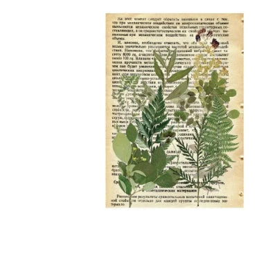 Herbarium DIY Plant Stickers pack with 8 unique botanical designs for creative decoration
