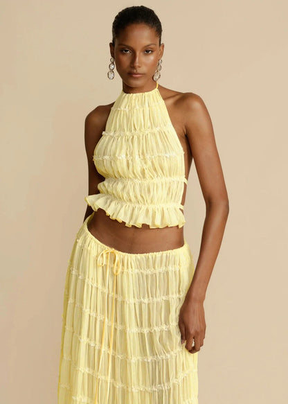 Chic sleeveless backless cropped halter top and pleated maxi dress set in various colors