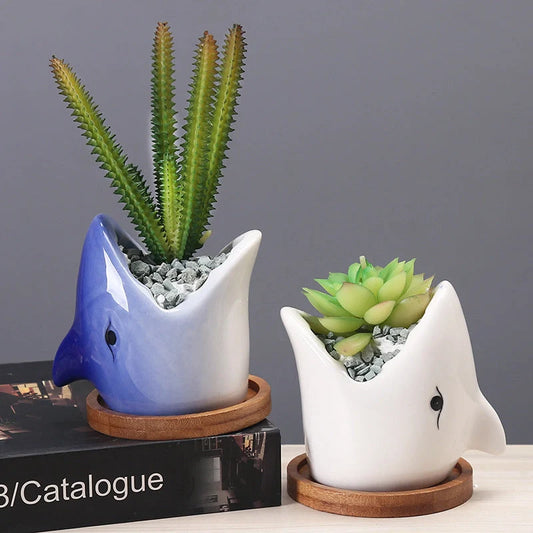 Creative cartoon ceramic succulent pot with drainage hole for indoor plants