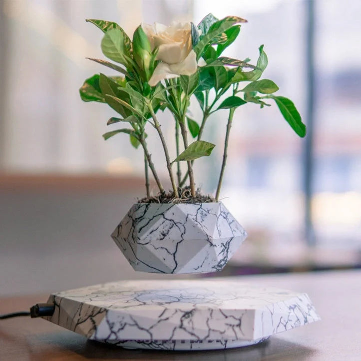 Levitating marble bonsai pot floating above magnetic base