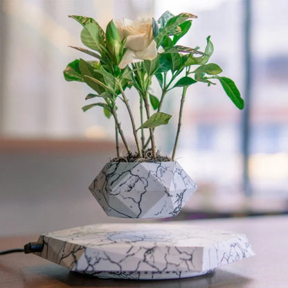 Levitating marble bonsai pot floating above magnetic base
