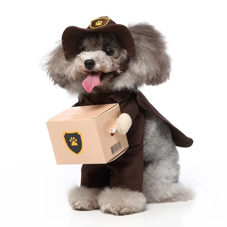 A charming pet costume with a three-piece ensemble of a whimsical hat, cosy clothing, and a dashing cloak, designed to make your furry friend the life of the party.