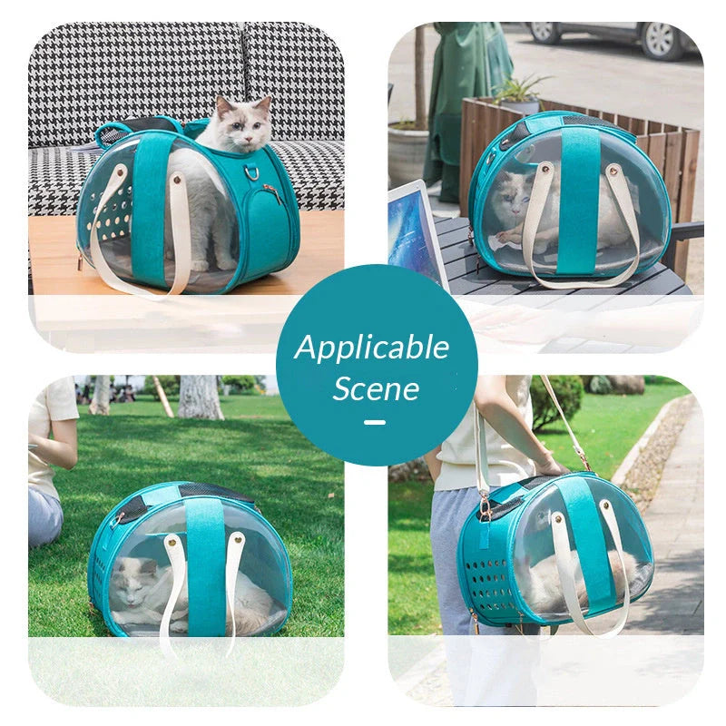 Transparent PVC pet backpack with ventilation holes and secure lock
