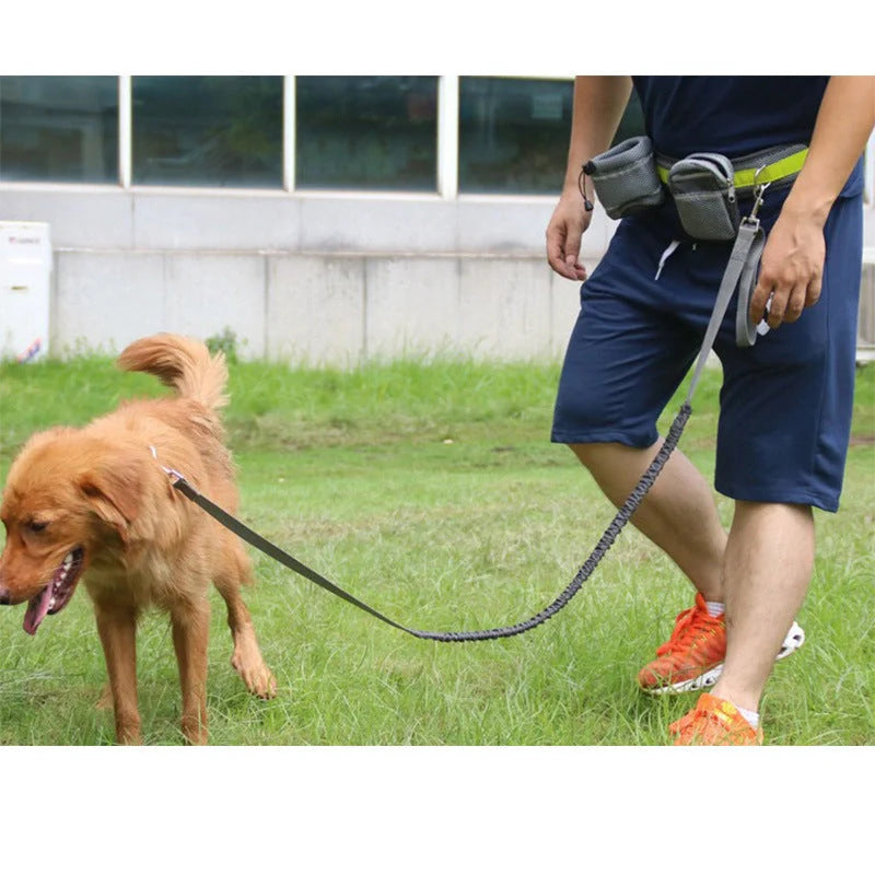 Adjustable hands-free dog leash with waist bag in various colours