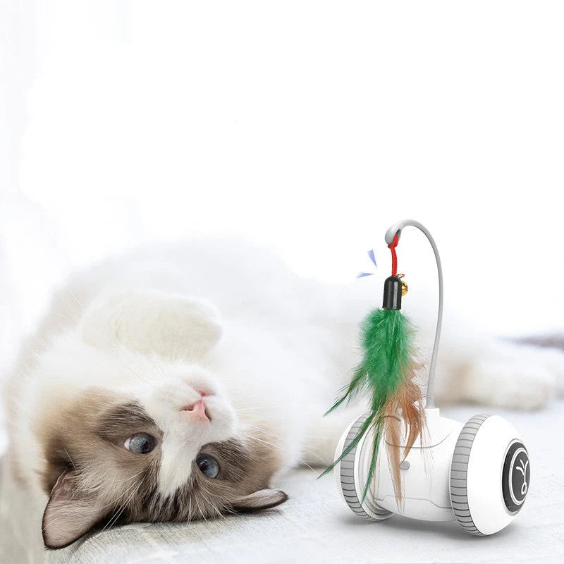 Interactive robotic cat toy with interchangeable feather and plush chick heads