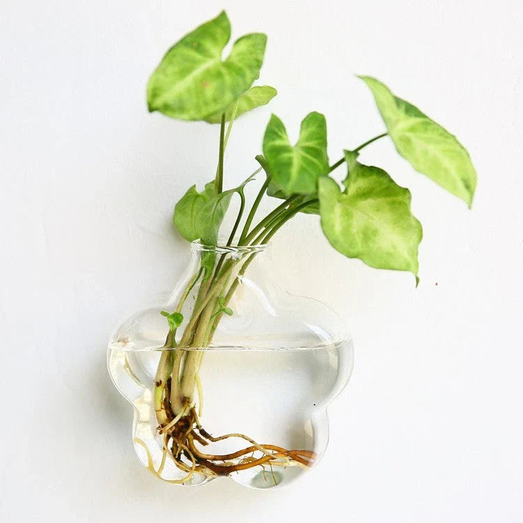 Elegant glass wall hanging flower vase planter terrarium with various shapes and sizes