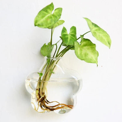 Elegant glass wall hanging flower vase planter terrarium with various shapes and sizes