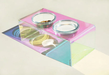 Holographic acrylic pet bowl for small dogs and cats with anti-slip base