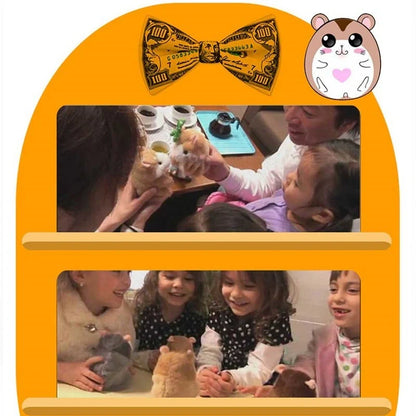15CM Little Talking Hamster Toy in light brown, dark brown, and grey