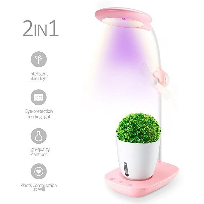A transparent, intelligent grow box with a built-in table lamp for nurturing indoor plants
