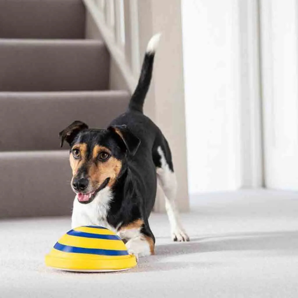 Sounding Disc Woof Glider yellow interactive dog toy