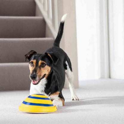 Sounding Disc Woof Glider yellow interactive dog toy