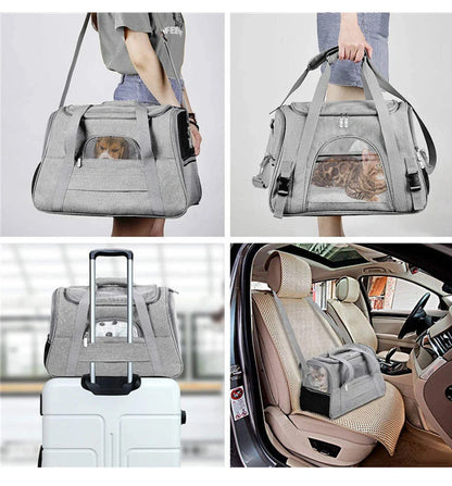 Portable pet backpack carrier for cats and small dogs, airline approved, in various colors