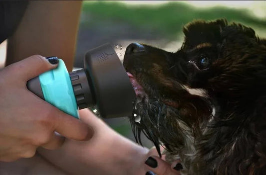 Foldable dog water bottle with integrated collapsible bowl for convenient hydration on the go