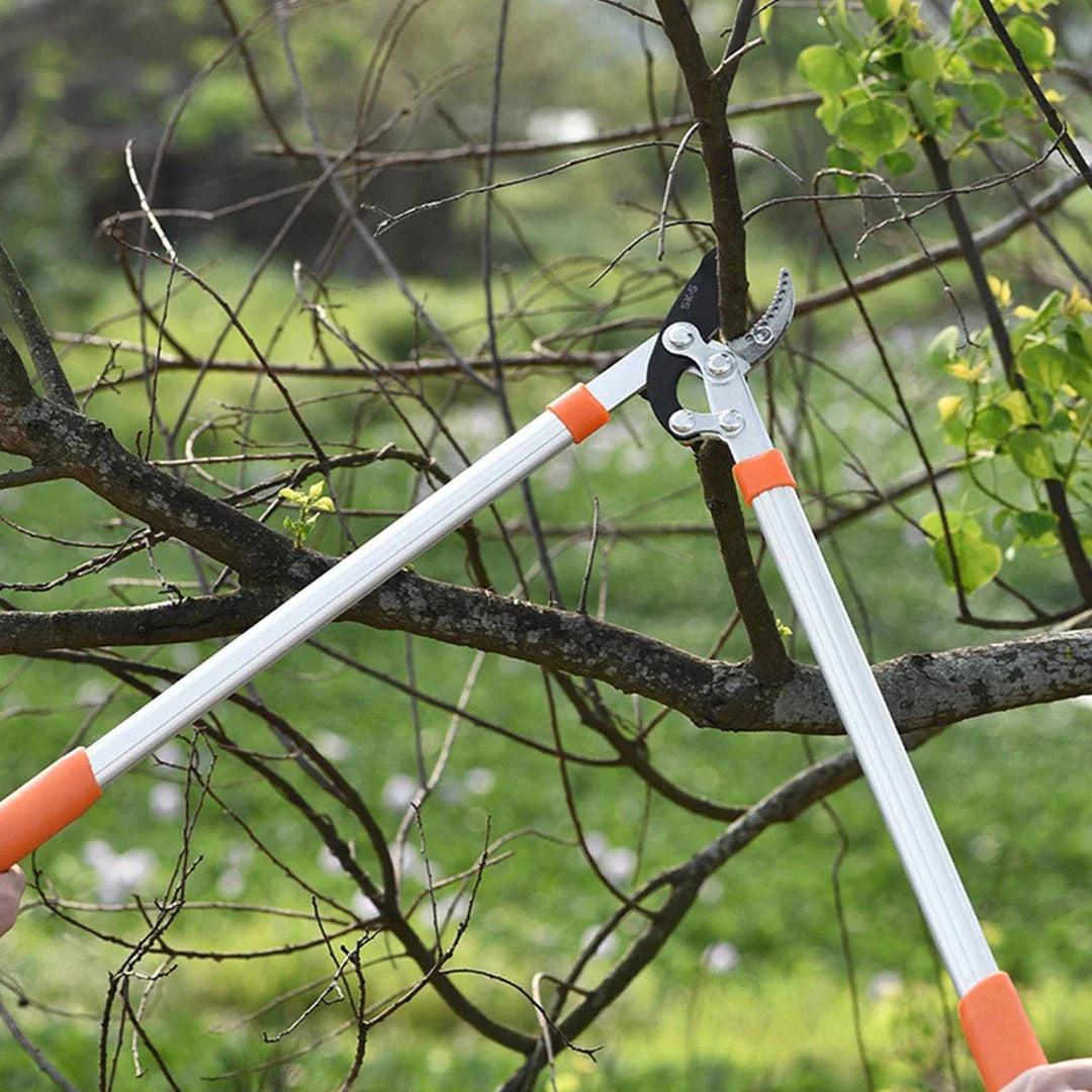 High-Efficiency Anvil Garden Shears with lever drive system, premium materials, and ergonomic design for effortless gardening tasks.