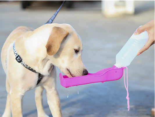 Portable and foldable 250ml pet water bottle made of durable plastic with a leak-proof design for hassle-free hydration on the move
