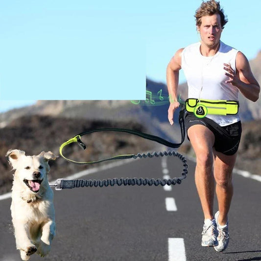 Premium hands-free dog running leash with waterproof waist bag, reflective stitching, and shock-absorbing bungee for safe and comfortable outdoor adventures.