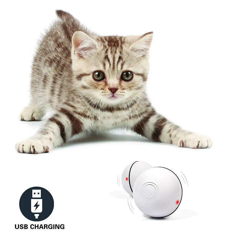 Interactive LED laser cat toy ball with catnip, perfect for keeping your feline friend entertained