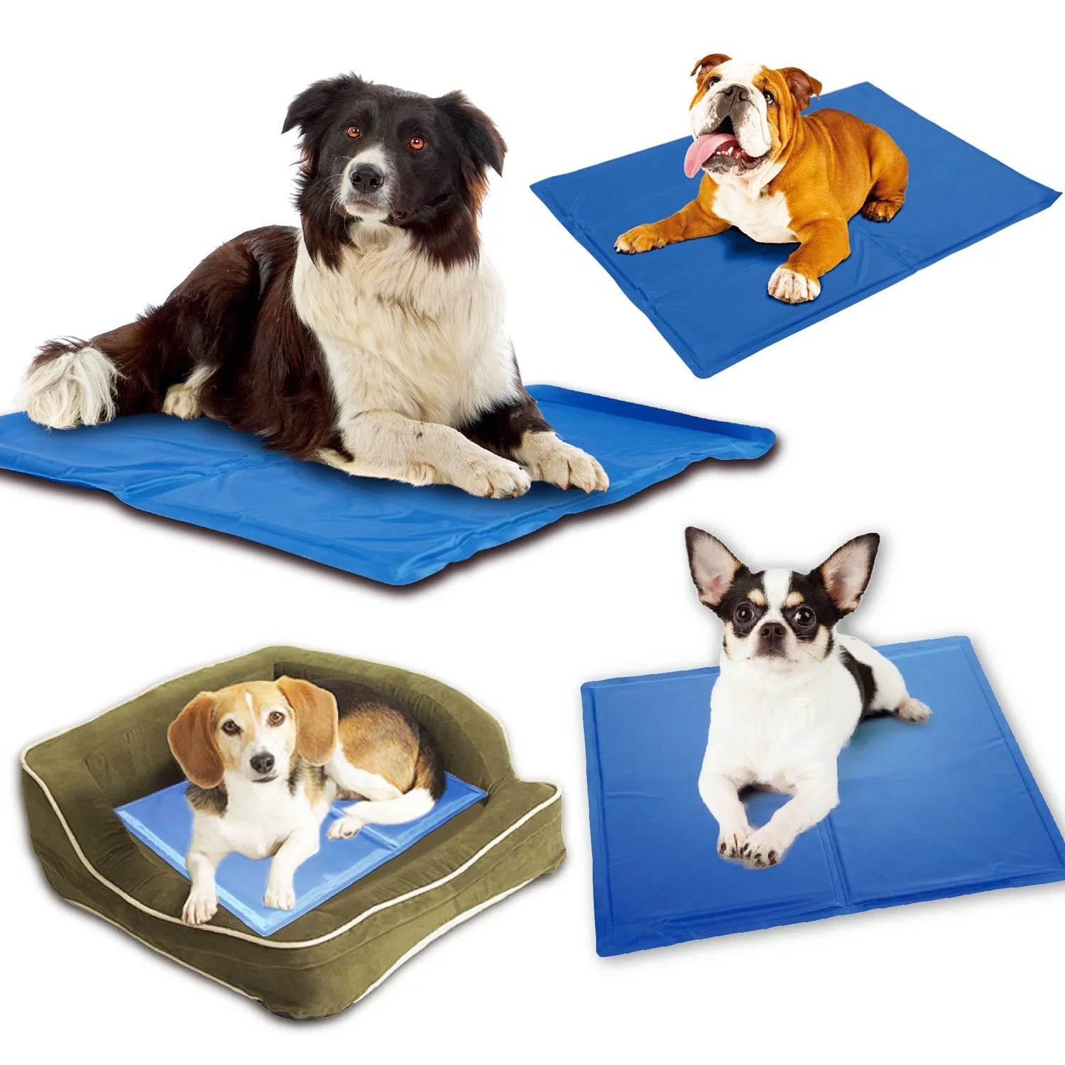 Blue dog cooling mat with pressure-activated ice crystal technology for summer use