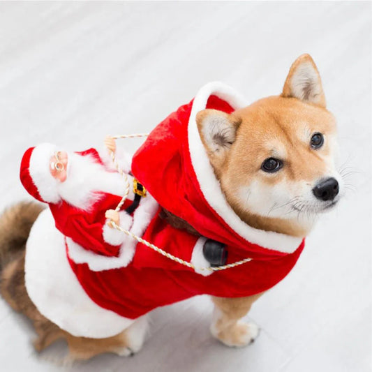 Green elf Christmas costume for dogs with adjustable fit
