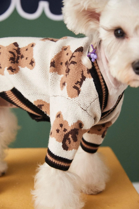 Stylish striped pet sweater in various colours and sizes for dogs and cats