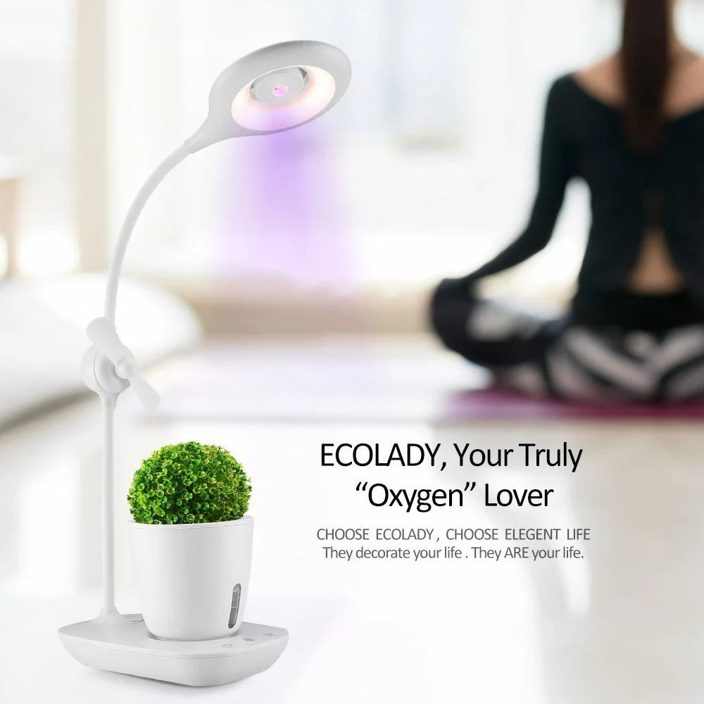 A transparent, intelligent grow box with a built-in table lamp for nurturing indoor plants