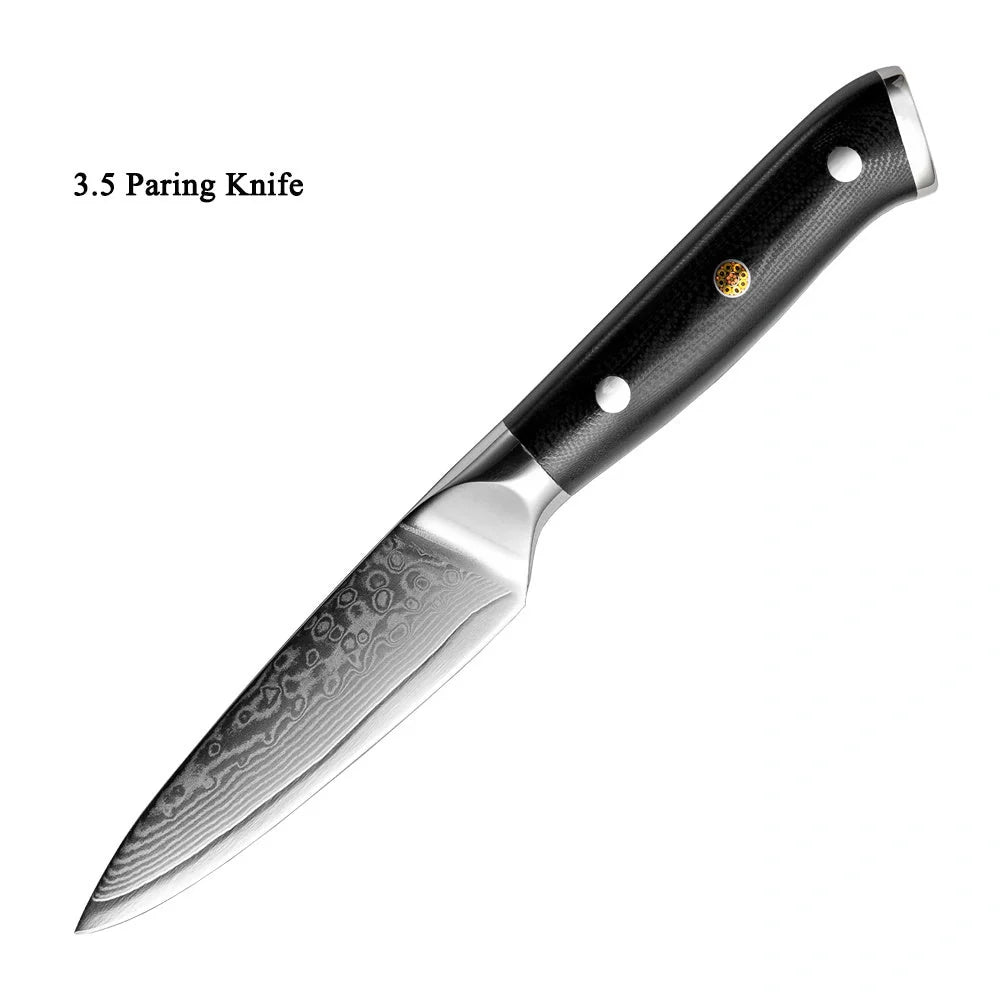 Premium Japanese Damascus steel kitchen and fruit knife set with G10 handle