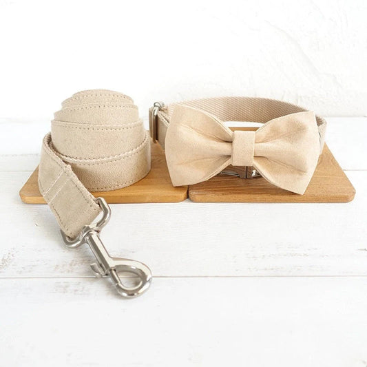 Durable dog collar and traction rope set in nude colour, perfect for safe and stylish walks.