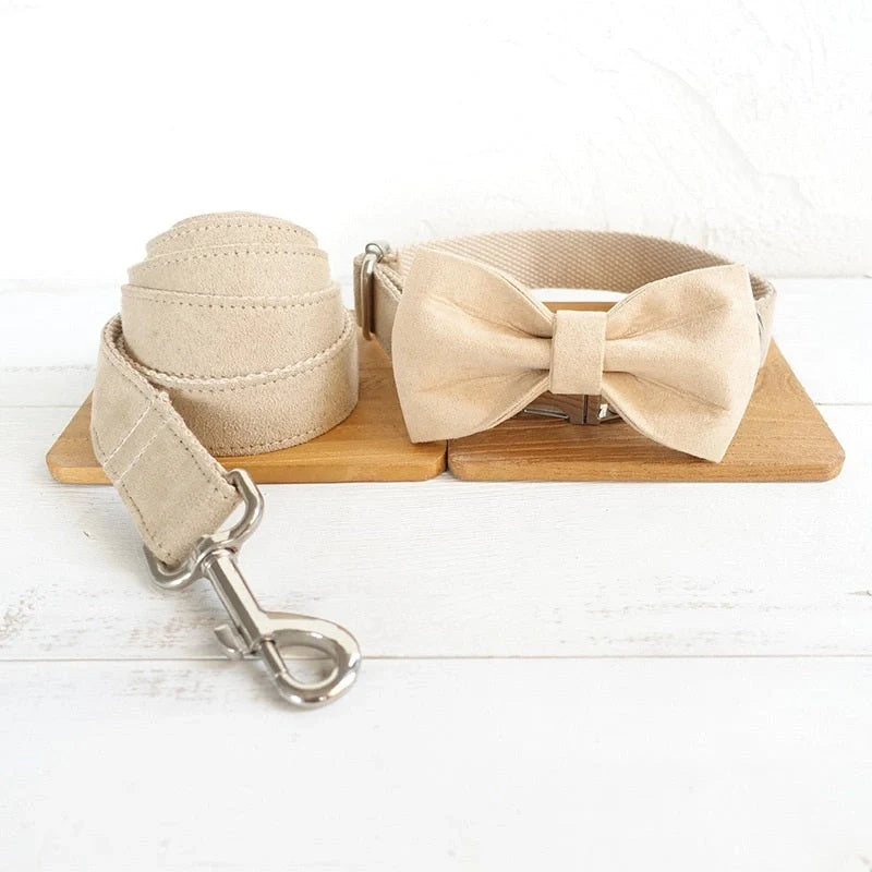 Durable dog collar and traction rope set in nude colour, perfect for safe and stylish walks.